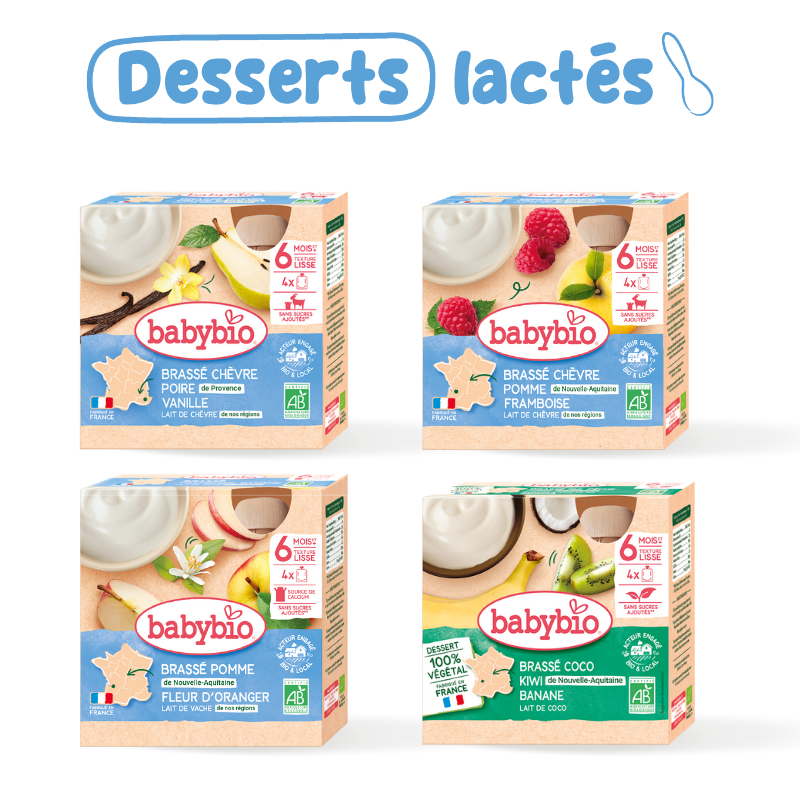 Dairy Dessert Pack | Organic | From 6 months | Babybio