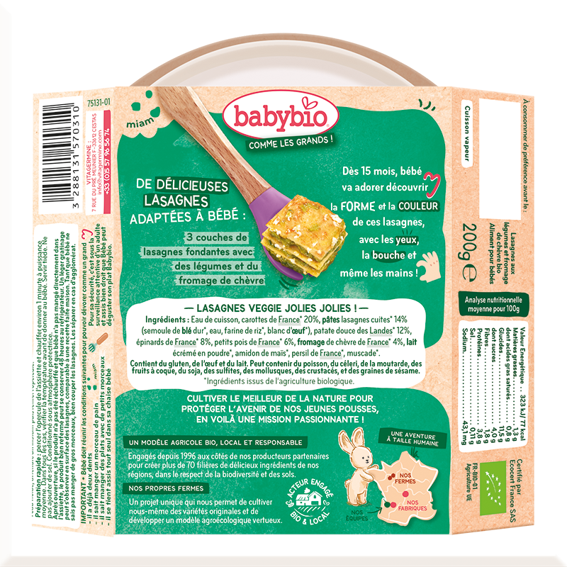 Lasagna vegetables and goat cheese