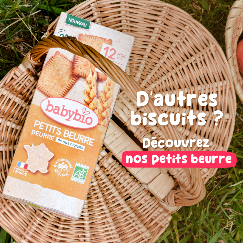 Multi-cereal cocoa biscuits