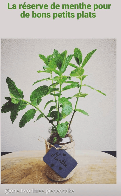 Recycler Ses Petits Pots En Verre Conseils Babybio