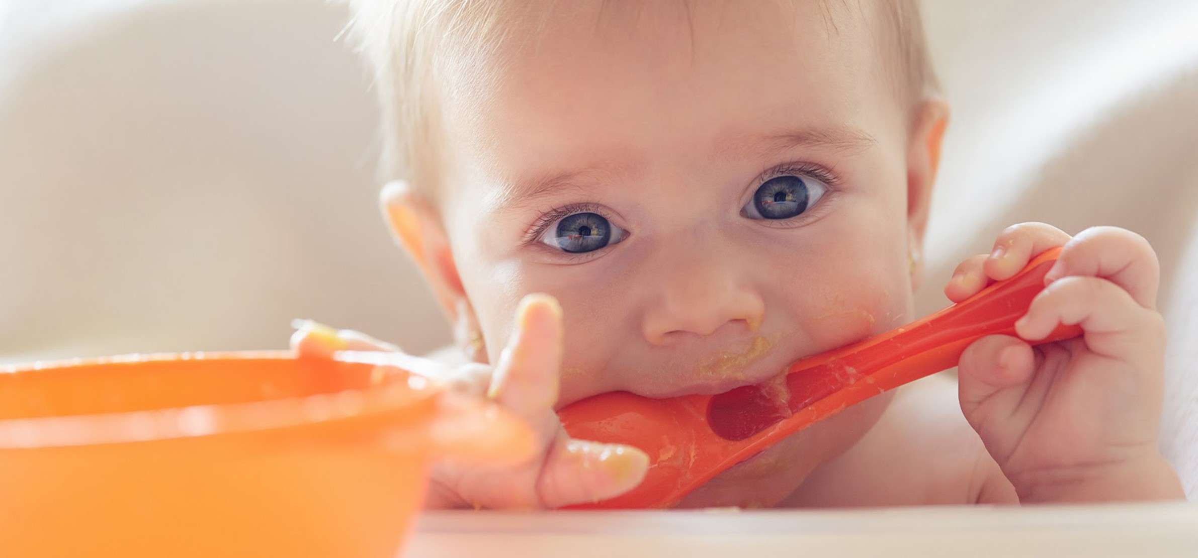 Que Donner au Petit Déjeuner d'un Bébé de 24 à 36 mois (2 & 3 ans) ?